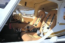 Luxurious Golden Sirius.