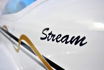Watching Stream fly...